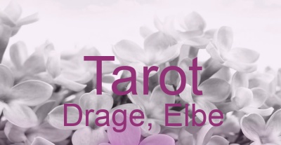 Tarot Drage, Elbe | Top-Experten für Kartenlegen, Wahrsagen, Hellsehen, Zukunftsdeutung. Tarot Drage, Elbe | Top-Experten für Kartenlegen, Wahrsagen, Hellsehen, Zukunftsdeutung.